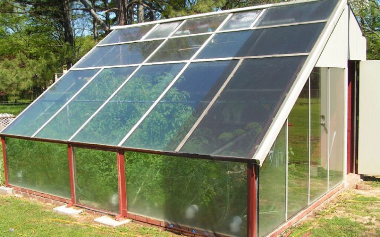 solar heat for a greenhouse