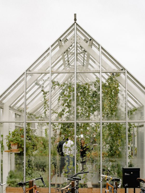 solar heat for a greenhouse