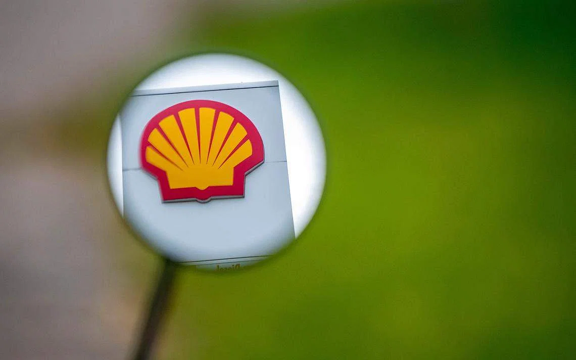 Shell Buys Nature Energy in US$2 Billion Push into Biogas